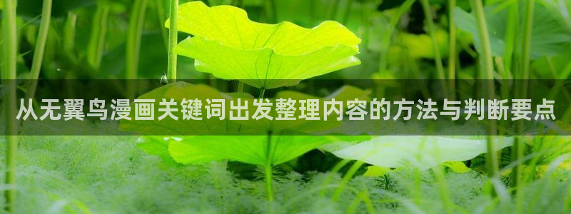 樱花日语N4